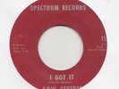 FUNK / BREAKS -- SOUL SEVERES -- I GOT IT --    PATRICK ADAMS