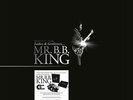 B.B. King - Ladies and Gentlemen, Mr. B.B. King