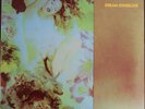 DREAM SYNDICATE CALIFORNIA DREAMING LP LIVE IN GERMANY 1986  ex