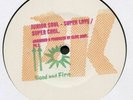 JUNIOR SOUL LLOYD CHARMERS UK2001  Reggae 10