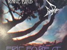 Rare Bird ?– Epic Forest 1972 - Polydor ?– PD 5530 ? -  LP