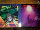 Petra Lot Beat The System and not of this world Vinyl LP Record Christian