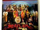 Beatles Sgt Peppers Lonely Heart Picture Disc Vinyl Record Collectors Edition