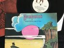 Hawkwind - Warrior On The Edge Of Time Vinyl LP Gatefold Shield 1st Press EX/EX