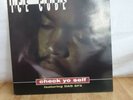 Ice Cube Feat Das EFX Check Yo Self It Was A Good Day 12 Inch Vinyl Record