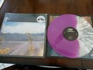 The Story So Far: Proper Dose (1/2 Purple Vinyl -1/2 Clear Vinyl With White LP