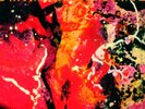 Gabor Szabo BACCHANAL (180GR. VINYL GATEFOLD SLEEVE)