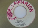 AGUSTOS PABLO Reggae In The Grass AQUARIUS Boss Reggae 7