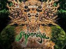 SHPONGLE: CODEX VI (LP vinyl *BRAND NEW*.)