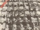 Stiff Little Fingers(7