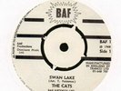 The Cats(7