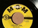 CONNIE FRANCIS MGM12375 I NEVER HAD A SWEETHEART/LITTLE BLUE WREN VG++/NM-  HEAR