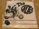 THE CIRCLES GRAD 17 MOD REVIVAL 79 OPENING ANGRY TEENBEATS SECRET AFFAIR CHORDS