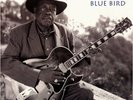 APO | Jimmy Rogers - Blue Bird 200g LP