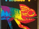 Lp Frumpy - All Will be Changed - 1st Press Krautrock Prog