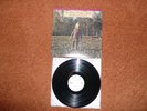 The Allman Brothers Band Brothers and Sisters MFSL Audiophile 12