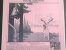 Little Feat,Electrif Lycanthrope  33 t ,USA, 70;s press,takrl