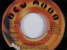70s Soul 45 FANTASTIC PUZZLES Come Back NEW MOON VG+ HEAR