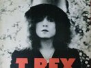 T.REX - THE SLIDER - NEAR MINT