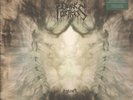 Dark Fortress - Ylem      2LP     NEU