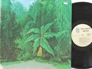 GABOR SZABO LP, Magical Connection (BLUE-THUMB US Issue EX/EX)
