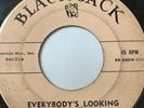 Rockabilly 45/ Cobra Brothers 