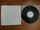 DEAD OR ALIVE Nude - Remade Remodelled - JAPAN ONLY White Label PROMO LP YPL-016