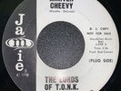 The Lords Of T.O.N.K. - The White Knight / Miniver Cheevy - Jamie 45 wlp Garage