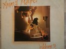 ANIMAL MAGNET WELCOME TO THE MONKEY HOUSE 1981 RARE ORIGINAL PICTURE COVER 12