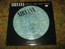 NIRVANA 12