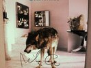 GRINDERMAN Grinderman 2 SIGNED Vinyl LP RARE UNPLAYED NICK CAVE