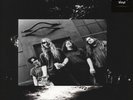 SCREAMING TREES LIVE AT THE COACH HOUSE 1993 Vinyl Nuovo 180 Grammi LP