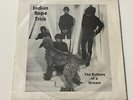 THE BEATLES INDIAN ROPE TRICK - THE ECHOES OF A DREAM  lp vinyl record