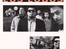 Los Lobos - By the Light of the Moon - MoFi 180g Vinyl