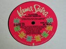 Flamin Groovies-Flamingo-ORIGINAL 1970 US Kama Sutra PROMO LP