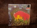 Vinyl-LP: MEAT PUPPETS - II [2, two] (1984) Remastered