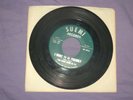 The Wild Ones - I Want To Be Friendly / Something’s Wrong garage 7”