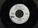 PAT GALO Arabian Camel Walk PARKER 209 DJ M-