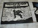 Operation Ivy ?