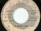 Garage 45 / PIED PIPERS /  Stay In My Life / You Don't Know / HAMLIN / Hear