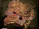 LP Black Cat Bones Barbed Wire Sandwich USA 1971 IN SHRINK Psych/Blues NM-/NM-