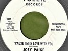 JOEY PAIGE ROLLING STONES BILL WYMAN CAUSE IM IN LOVE WITH YOU WLP 45 RPM RECORD