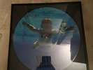 Nirvana Nevermind Picture Disc