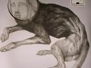 THEE OH SEES - Putrifiers II EP - Vinyl (LP + MP3 download code)