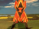 David Bowie Earthling Vinyl LP