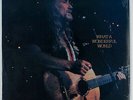 Willie Nelson - What a Wonderful World (1988) [SEALED] Vinyl LP •