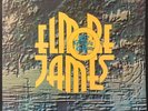 ELMORE JAMES - TO KNOW A MAN - 1969 DOUBLE ALBUM - BLUE HORIZON 7-66230