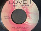 SHEENA SPIRIT - GATES OF ZION - LOVE I ( ROOTS 7 )