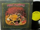 MEAT PUPPETS - SELF TITLED - HARDCORE PUNK - VG++ VINYL