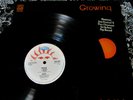 RARE & CLEAN   1973 UK DAWN ORIG   JONESY   GROWING   MELLOTRON PROG Psych BEST